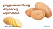 Health Benefits of Nutrition Potatoes