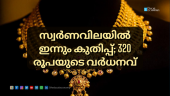 Gold price increase in Kerala, 1 Sovereign reaches ₹54,920 after ₹320 hike.