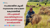 Paddy for Niraputhari harvest festival celebration at Integrated Farming System Research Station