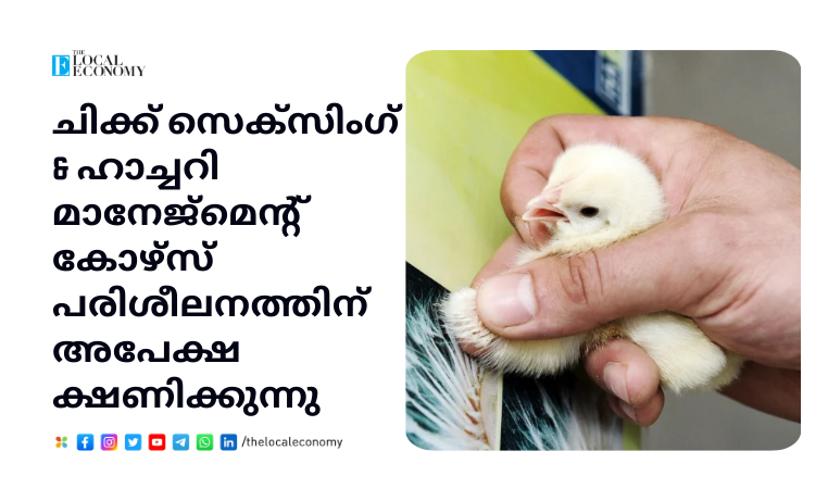 Applications are invited for Chick Sexing & Hatchery Management Course Training