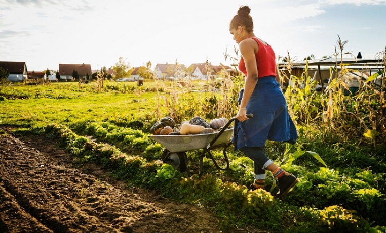 agricultural 