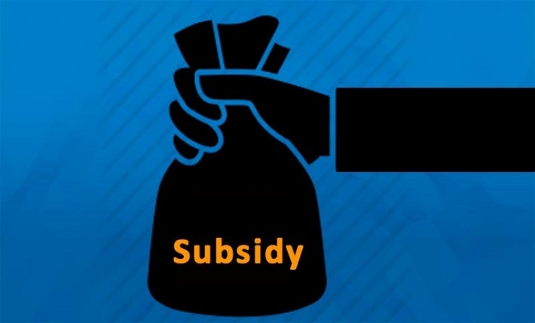 subsidy