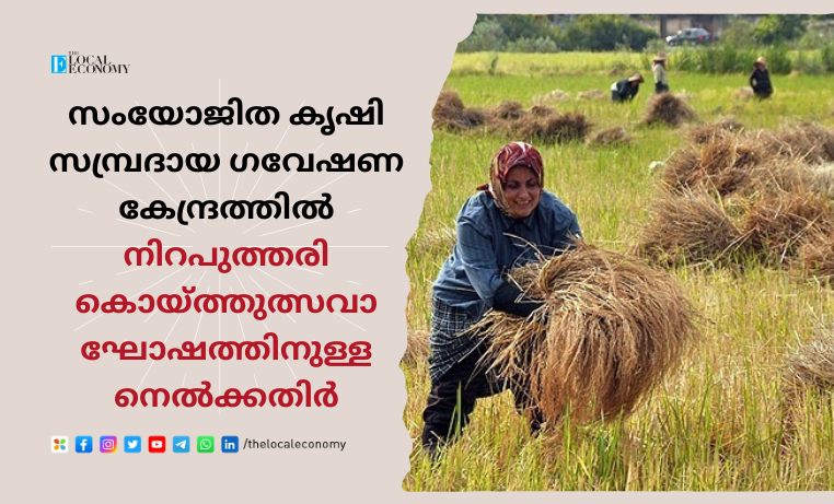 Paddy for Niraputhari harvest festival celebration at Integrated Farming System Research Station